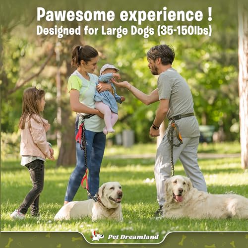 Laisse rétractable mains libres pour grands chiens et excursion de canicross
