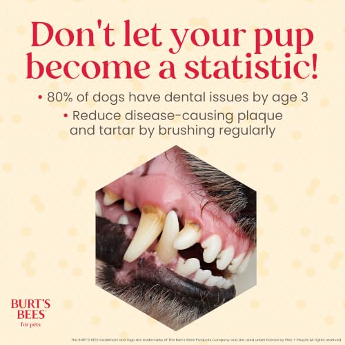 Burt's Bees for Pets Peppermint Puppy Dental Kit with Toothbrush & Toothpaste, 2.5 Oz - image 3