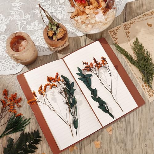 Flores secas naturales para decoración boho y manualidades miniatura 3