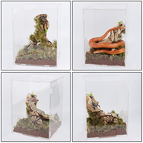 winemana Reptile Terrarium Aquarium Breeding Tank, 14.5" x 10.5" x 10" Acrylic Tarantula Enclosure Feeding Box Insect Habitat for Tarantula Spider Snake Lizard Hermit Crab Insect - Image 7