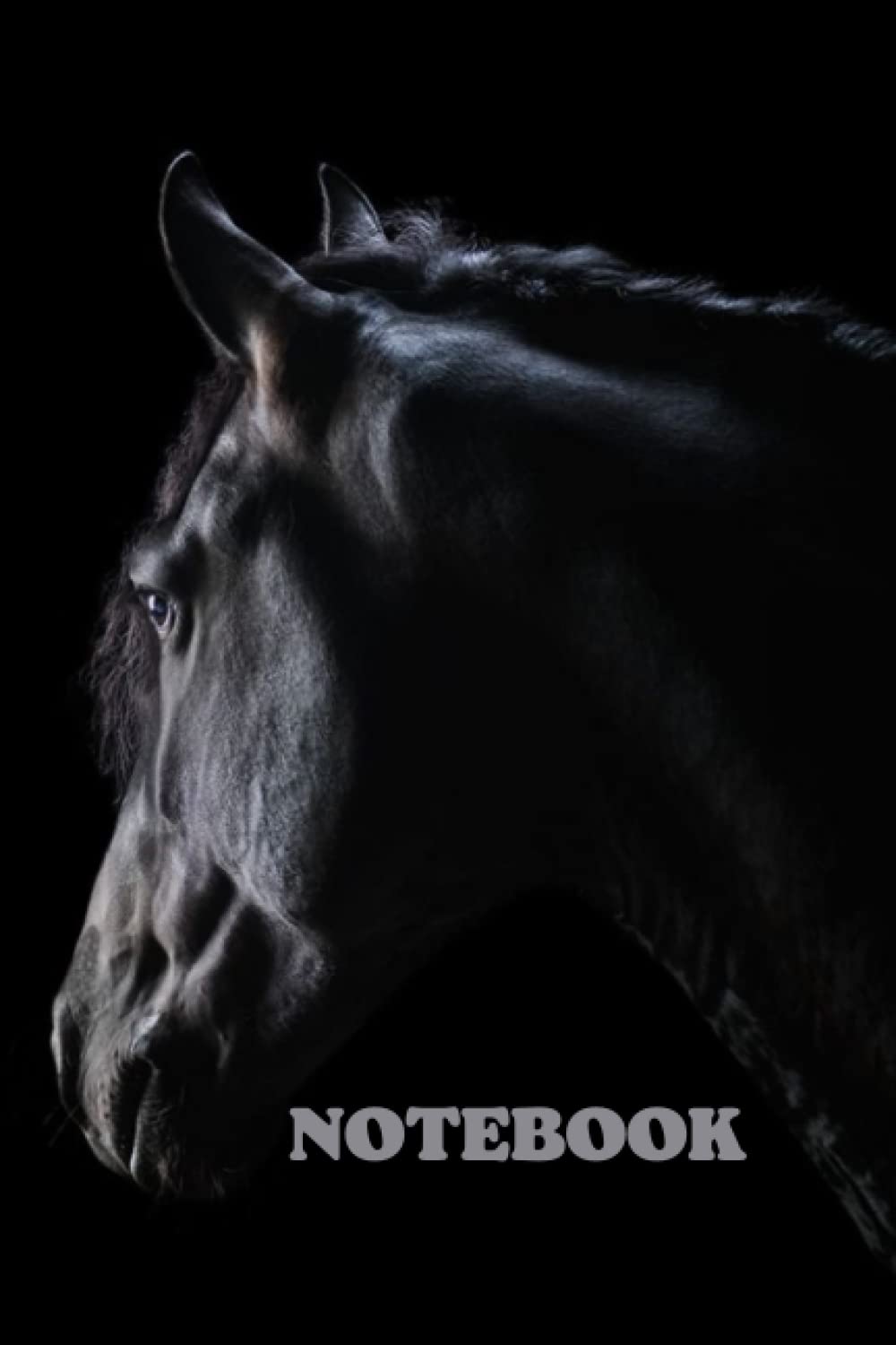 Strictly a notebook with a horse on a black background, size 6x9, ruled paper, 100 pages, paperback