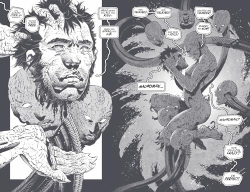 Frank Miller's Ronin Rising Manga Edition