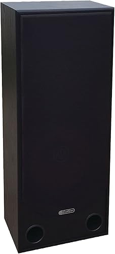 Miniatura 5 de BIC AMERICA RTR-EV15 - Altavoz de suelo bi-amplificador de 3 vías de 3 vías de 15 pulgadas con tweeter de bocina de alta eficiencia