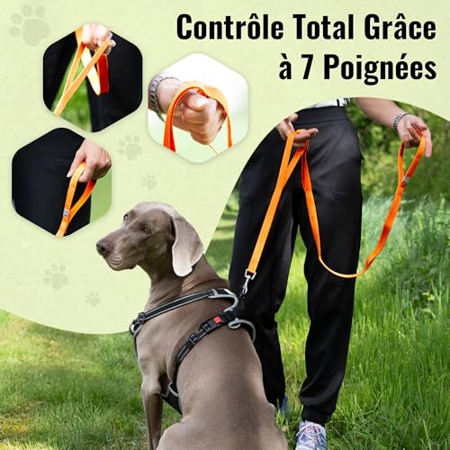 Laisse pour chien écologique en polyester recyclé résistante 140cm