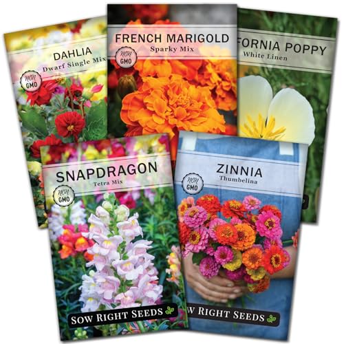 Sow Right Seeds - Dwarf Flower Seed Collection for Planting