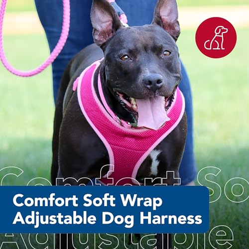 Coastal Pet Comfort Soft Wrap Adjustable Dog Harness - Comfortable Harness for Dog - Adjustable Fit - Easy Step-in Design - Breathable Fabric Mesh - Orchid, 3/8" x 14"-16"