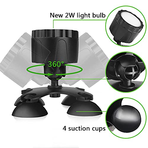 The 30 Best Pond Lights of 2024 [Verified] Cherry Picks