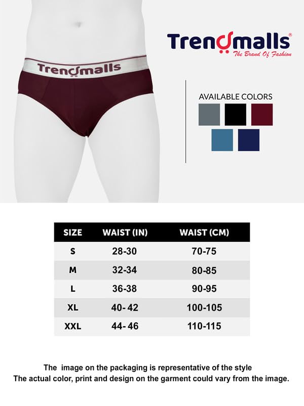 Image of TRENDMALLS Men's Birla Micromodal Regular Fit Solid Men Underwear Briefs with No Marks Waistband