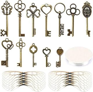 SANNIX 48 Pcs Vintage Skeleton Keys Flying Keys Charms with 50 Pairs Dragonfly Wings and 30m Elastic Crystal String for Room Decorations