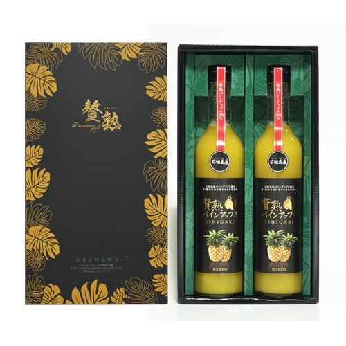 MtgBOX ҏn Ί_YpCAbv 100%W[X 500ml×2{×1 PX Ί_YčipC100%̔ZȃXg[gW[X