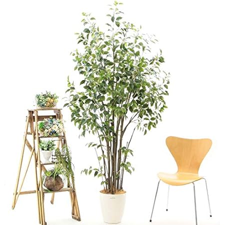 Amazon 光触媒 フェイクグリーン 造花 観葉植物 人工 観葉樹 リアル 消臭 空気清浄 おしゃれ インテリア グリーン 室内 人気 爽やか 部屋 屋内 リビング プレミアム光触媒 銀配合 大きめ 観葉植物 ダイナミックな樹形 たくさんの枝 ワイルド フィカス