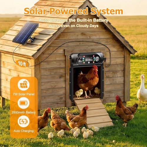 Image of Automatic Chicken Coop Door Solar Powered, Auto Chicken Door Opener