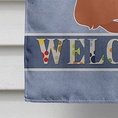 Drapeau Brussels Griffon Welcome CK3686CHF grand format en canevas