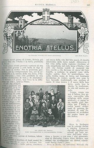 Enotria Tellus.