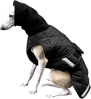 greyhound coats amazon