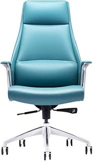 YLiansong-home Silla de reclinación de Oficina ergonómica Silla ergonómica de la Silla de Oficina con Brazos Ajustables y Soporte Trasero Silla de Escritorio (Color : Blue, Size : One Size)