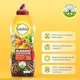 Solabiol B09KYCMYML lato 3