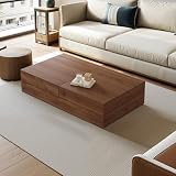Pajiasen 47.2' Sliding Top Coffee Table with Hidden Storage, Walnut