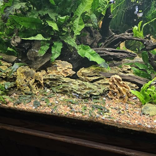 Image of 5 LB Aquarium Rocks Stones, 2-6 inches Natural Dragon Stone