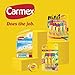 Carmex Classic Medicated Lip Balm Pack, Lip Moisturizer for Chapped Lips, 9-Count Variety Pack Bag (3 Tubes, 3 Sticks, 3 Jars)