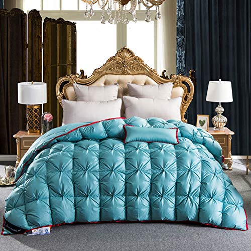 TheFit Paisley Luxury Heavy Weight, W1506 Turquoise Red Filling Goose Down Comforter Set