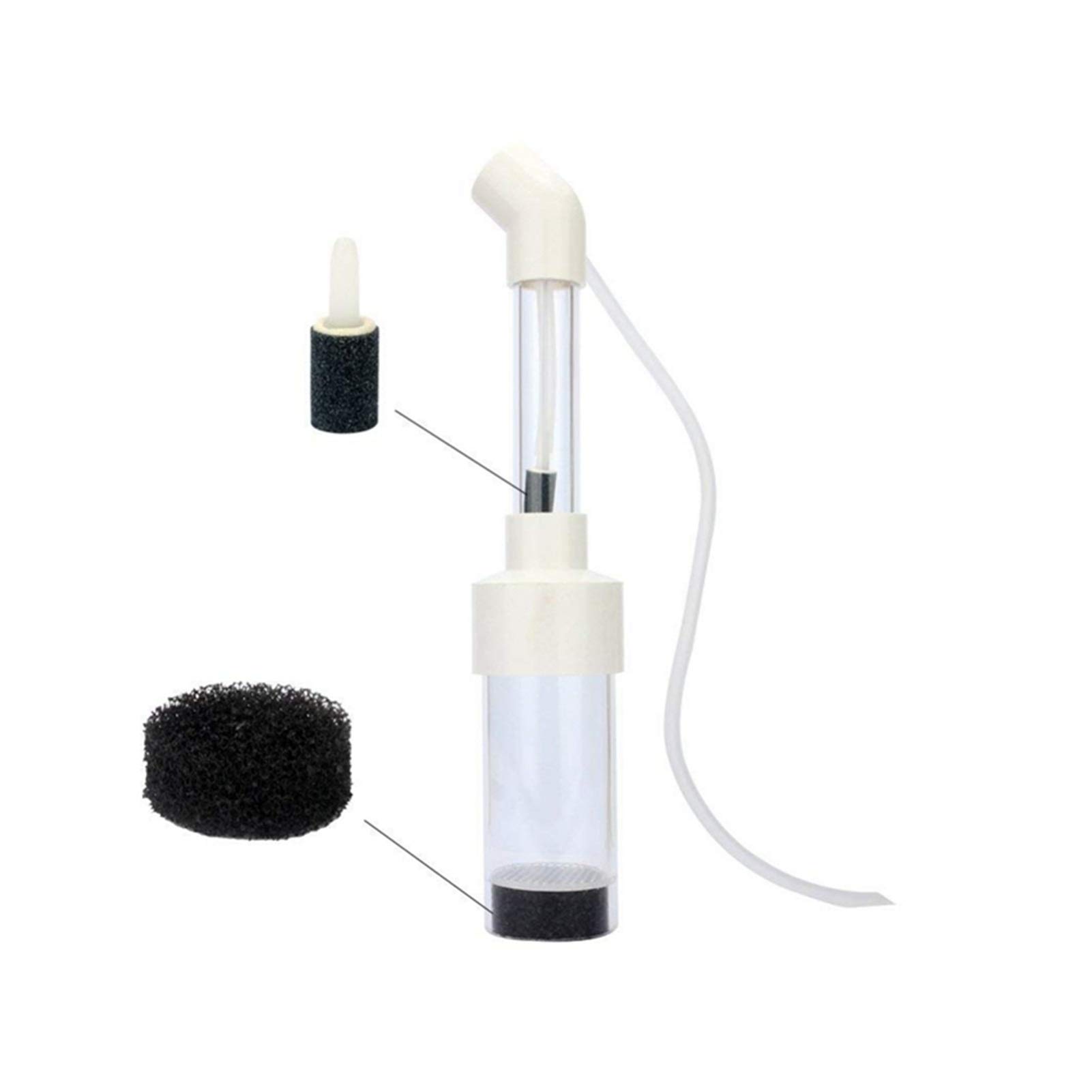 Buy LTHGD Daphnia Eggs Fish Egg Hatch Tumbler Aquarium Fish Breeding