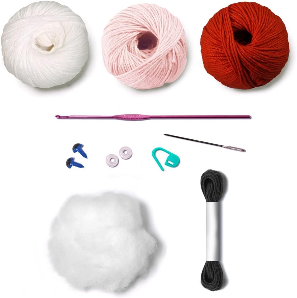 CIRCULO Amigurumi Kit Christmas Collection - All Materials Included, Clear Easy to Follow Instructions - Intermediate Level - 1 Crochet Kit (Santa Claus 02)