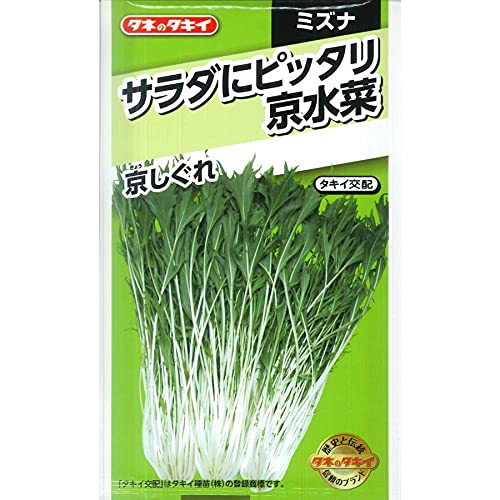 タキイ種苗 サラダにピッタリ京みずな 京しぐれのサムネイル