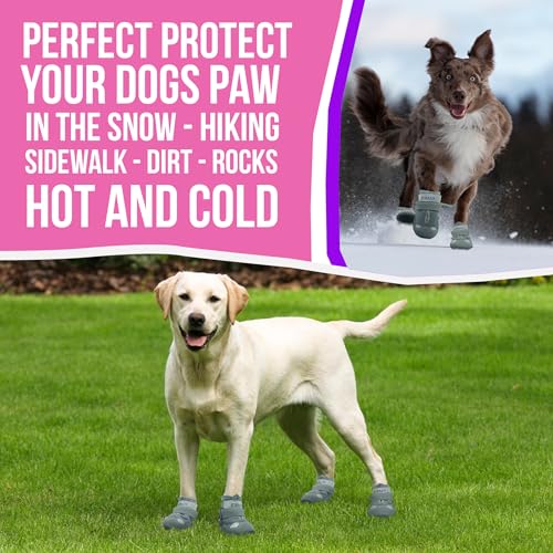 Dog-Boots-Breathable-Shoes-for-Small-Dogs-Anti-Slip-Sole-Dog-Booties-Waterproof-Booties-Paw-Protector-for-Hot-Pavement-Winter-Snow-Size-1 Dog Boots Breathable Shoes for Small Dogs Anti Slip Sole Dog Booties Waterproof Booties Paw Protector for Hot Pavement Winter Snow Size 1