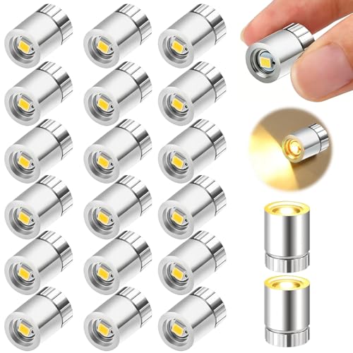 PEAPIN 20Pcs Mini Lights Battery Operated Warm White