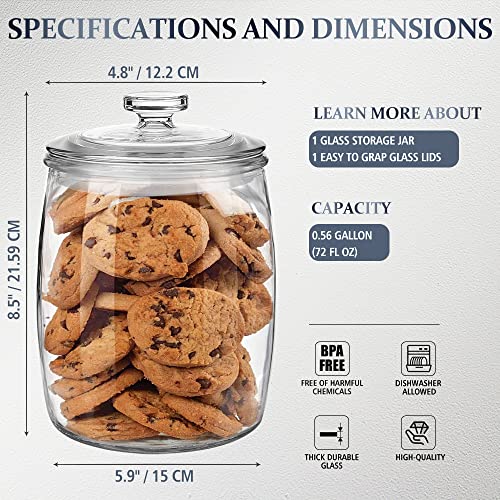 Folinstall Wide Mouth Apothecary Jar With Lid, 0.5 Gallon Glass Jar For Kitchen Storage And Laundry Room Organization, 72 Oz Clear Glass Container For Cookie, Candy, Sugar, Flour, Nuts #TOP4