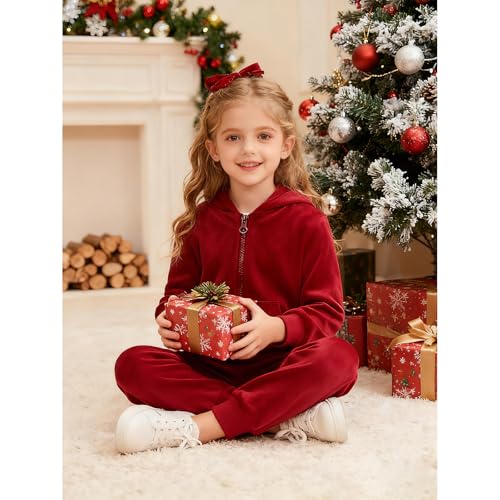 Image of Toddler Girls Boy Clothes Set Fleece Hooded Outfits Casual Sweatsuits Kids Jogger Tracksuits 6M-12Y