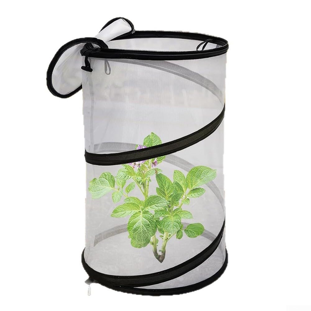 Foldable Plant Protection Net, Bird Proof Garden Mesh Cover, Vegetable Fruit Flower Guard, Breathable Insect Barrier Cage, Outdoor Herb Shield(1PC)