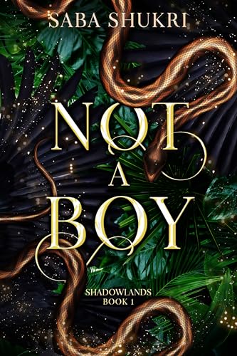 Not A Boy: A Young Adult, Coming-of-Age Romantasy (The Shadowlands Book 1)