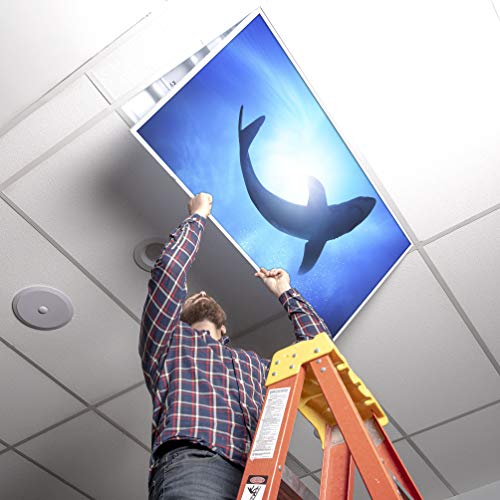 Image of Fluorescent Light Cover for Classroom Ceiling Lights - Premium Backlit Film Insert 2x4 (22.38 inchx46.5 inch) Florescent Fixture (Pack of 1) School, Office, Sensory, Improve Focus, Eliminate Headaches - Shark