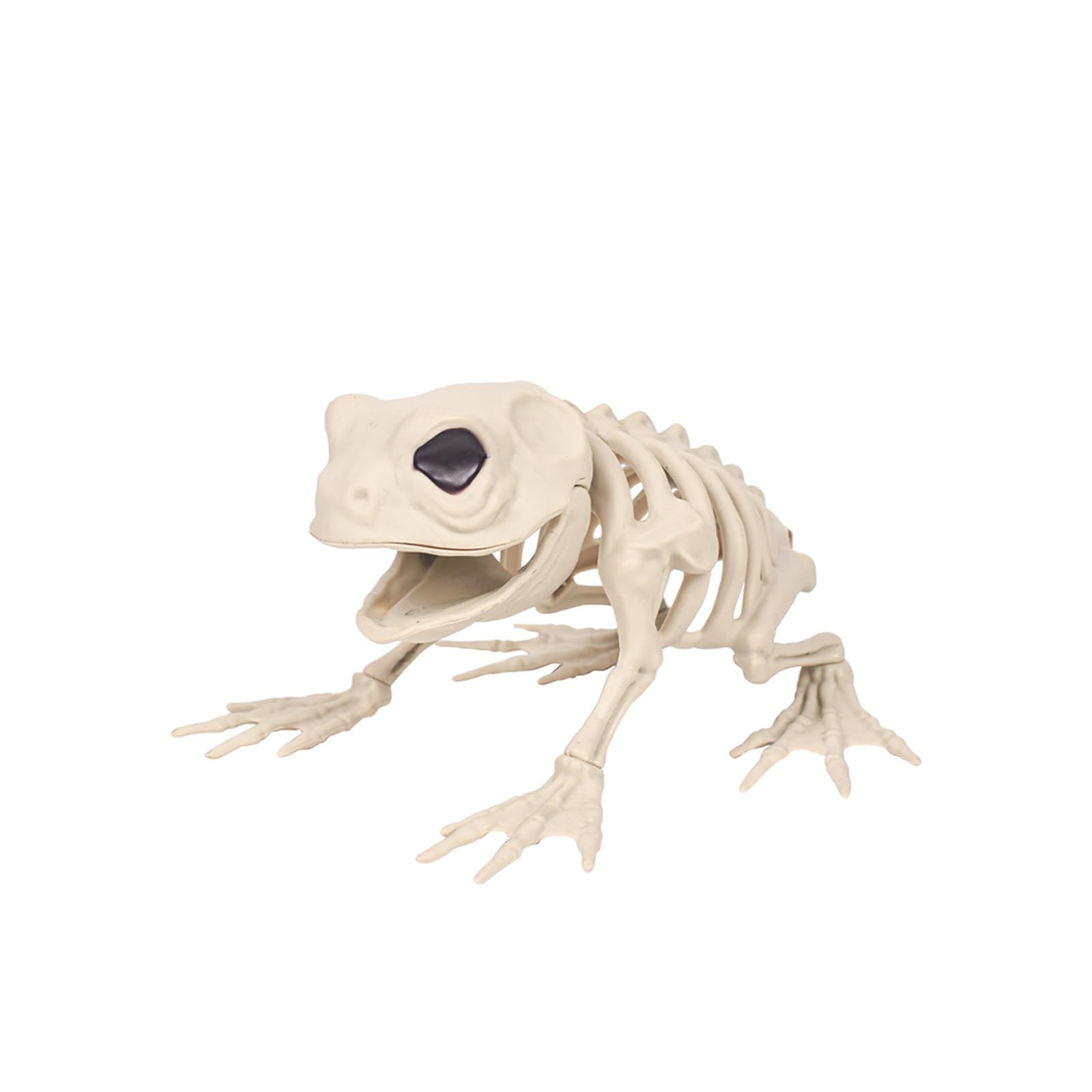 Amazon.co.jp: ichuanyi スケルトン カエル ハロウィン デコレーション