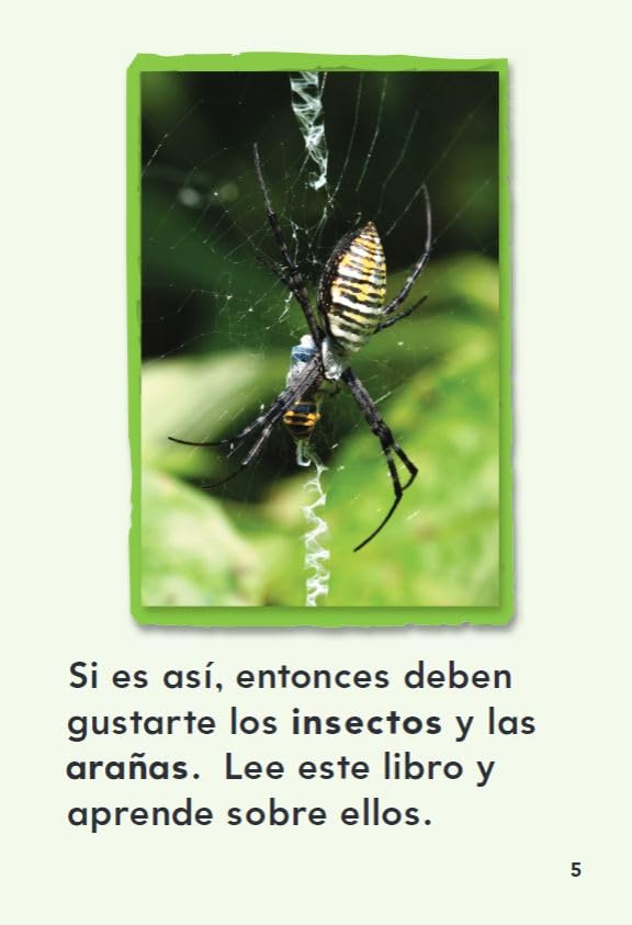 !Locos por insectos y aranas! (Going Buggy) (Spanish Version) (TIME FOR KIDS(r) Nonfiction Readers) (Spanish Edition) - Image 5
