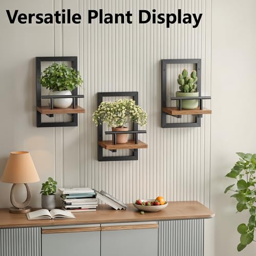Image of Sbosbo Floating Shelves for Wall, Plant Shelf Indoor, Wall Planters for Indoor Floating Plant Shelves for Bedroom, Living Room, Kitchen, Office, Bathroom Decor (2 Pack)