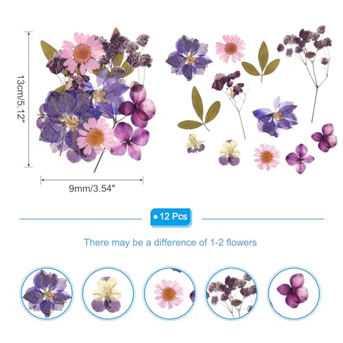 Flores prensadas secas naturales para manualidades miniatura 2