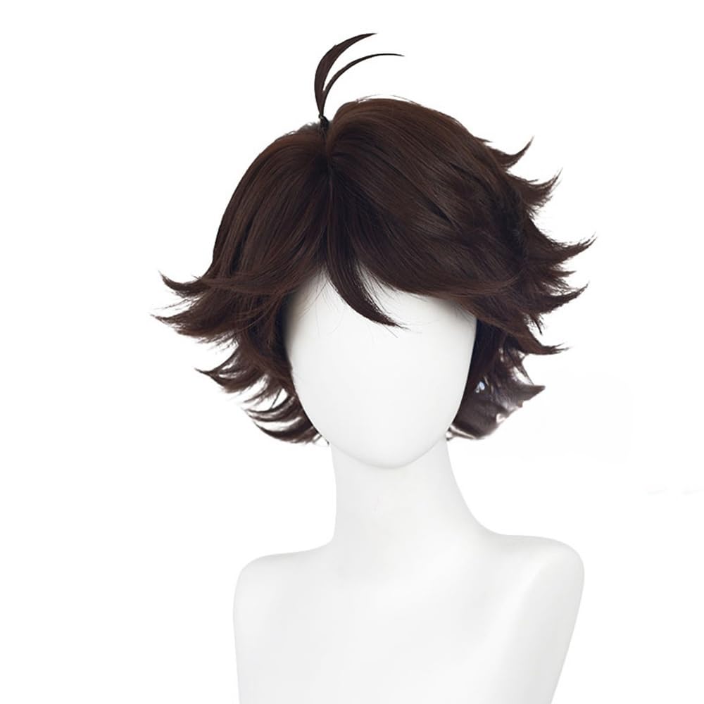 Short Dark Brown Hair Wig for Men Anime Cosplay Wigs for Male Halloween Costume Wigs Cosplayer Fancy Dress Synthetic Hair Wig Short Dark Brown Hair Wig for Men Anime Cosplay Wigs for Male Halloween Costume Wigs Cosplayer Fancy Dress Synthetic Hair Wig