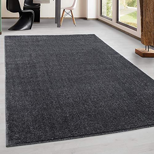 Tapis de salon gris chiné 140x200 pour ambiance chaleureuse