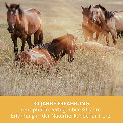 Sensipharm Smooth Locomotion - Hilft Natürlich bei Rücken, Hinterhand, Hinterbeine, Muskeln, Gelenke, Laminitis, Hufrehe - 180 Gelenktabletten a 1000 mg. für Pferde