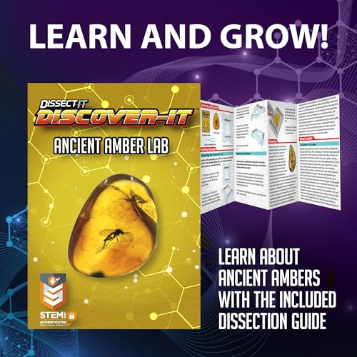 Image of Discover-It Ancient Amber, Science Lab Kit, STEM Toys for Kids, Ages 5+ | Hidden Insect: Open synthetic amber to discover a preserved toy insect while learning about ancient life and STEM