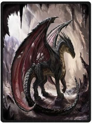 Daniellestore Soft Bed sheet Plush Throw Blanket Bedding Sleep Dragon in Cave 58 x 80 Inch
