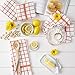 DII Basic Terry Collection Windowpane Dishtowel Set, 16x26, Spice, 4 Count
