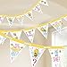 Baby Shower"What Will it Bee?' Pennant Banner Kit (15ft)