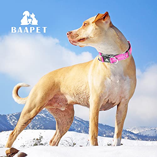Baapet Comfortable Dog Collar With Double Security Dual D-Ring And Id Tag Hanger For Small Puppy, Medium And Large Dogs (M - 1.0" X (14"-20"), Pink) #TOP5