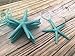 Starfish Christmas Tree Ornaments (Metallic Turquoise)