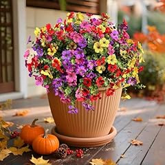 Mix Pink, Red, Purple, Yellow