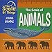 The Scale of Animals
